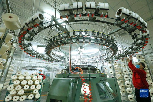 紡企訂單激增帶動即墨產(chǎn)業(yè)發(fā)展，網(wǎng)絡技術服務助力轉(zhuǎn)型升級